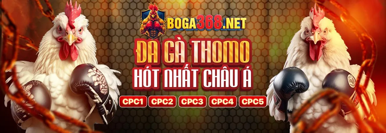 Sân đấu đá gà trực tuyến kịch tính tại keonhacaichuan